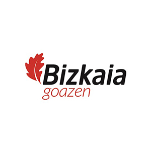 logo dipu bizkaia